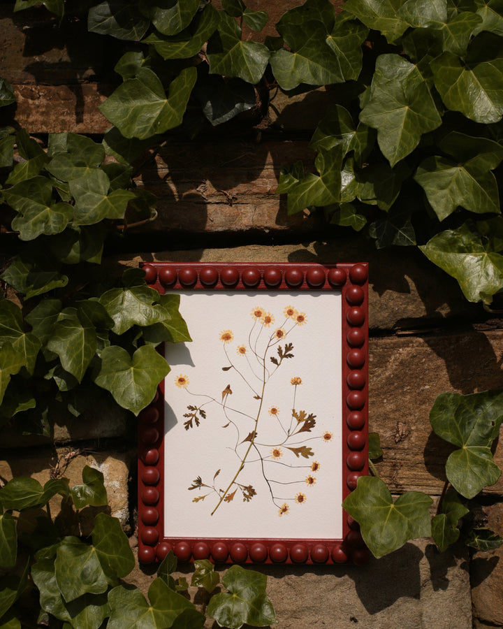Brick Red Bobbin Frame