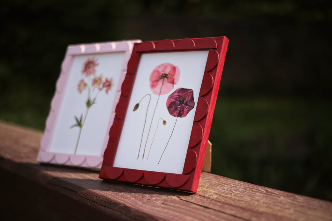 Two framed pictures of pressed flowers on a wooden surface with a blurred natural background.
