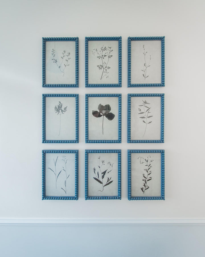 Nine framed botanical prints with blue borders on a white wall.